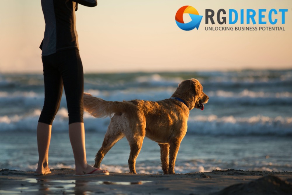 Top 10 Best dog-friendly beaches in the USA