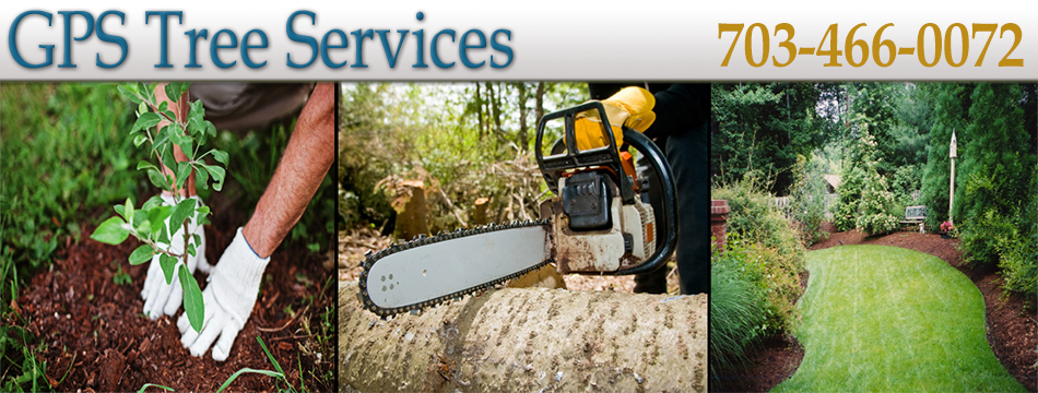 GPS-Tree-Services-Banner-13.png