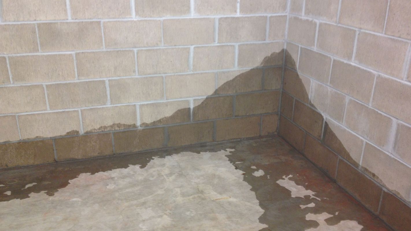Basement Waterproofing Cicero NY