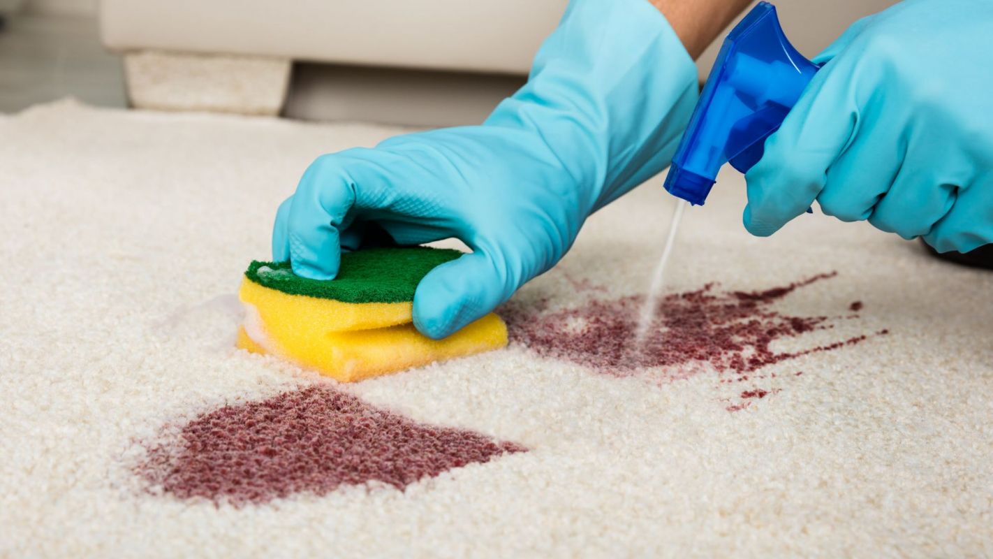 Reliable Carpet Stain Removal Services Arvada CO